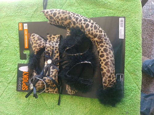 Leopard cheetah cat pc - cheetah, 5